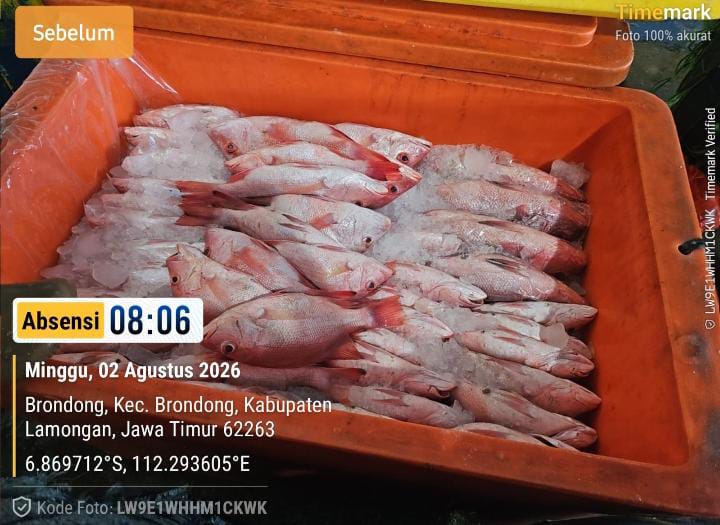 Etalase Produk 8